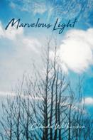 Marvelous Light