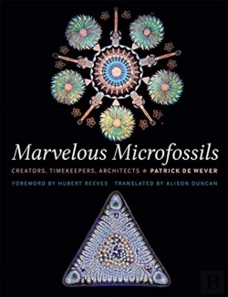 Bertrand.pt - Marvelous Microfossils