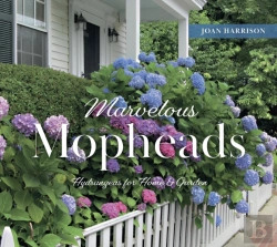 Bertrand.pt - Marvelous Mopheads