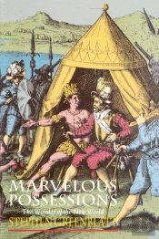 Marvelous Possessions