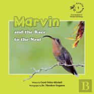 Marvin And The Race To The Nest