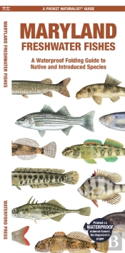 Maryland Freshwater Fishes