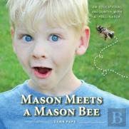 Mason Meets A Mason Bee
