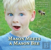 Mason Meets A Mason Bee