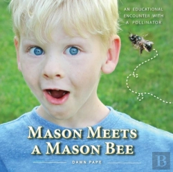 Bertrand.pt - Mason Meets A Mason Bee