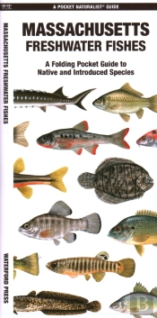 Massachusetts Freshwater Fishes