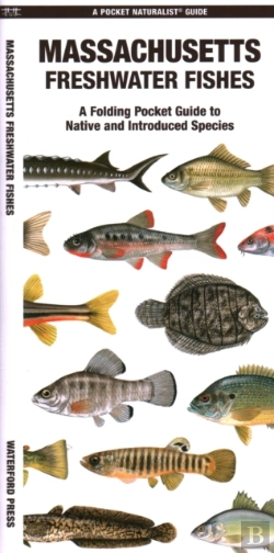 Bertrand.pt - Massachusetts Freshwater Fishes