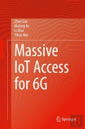 Massive Iot Access For 6g