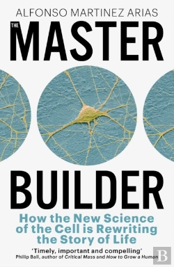 Bertrand.pt - Master Builder