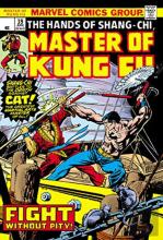Master Of Kung Fu Epic Collection: Fight Without Pity