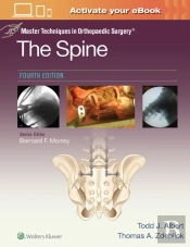 Master Techniques In Orthopaedic Surgery: The Spine