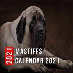 Bertrand.pt - Mastiffs Calendar 2021