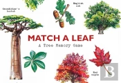 Match A Leaf
