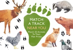 Bertrand.pt - Match A Track Near You