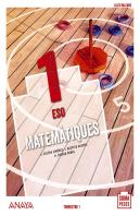 Matemàtiques 1.