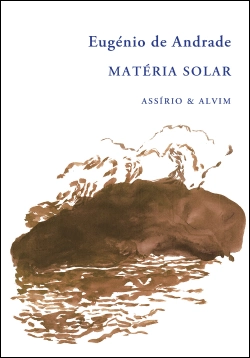 Bertrand.pt - Matéria Solar