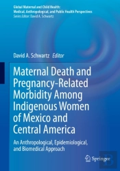 Maternal Death And Pregnancy-Related Morbidity Among Indigenous Women Of Mexico And Central America