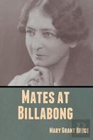 Mates At Billabong