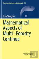Mathematical Aspects Of Multiâ€“Porosity Continua