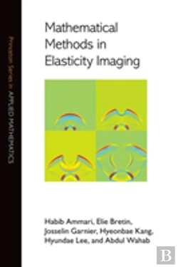 Bertrand.pt - Mathematical Methods In Elasticity Imaging