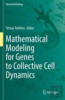 Mathematical Modeling For Genes To Collective Cell Dynamics