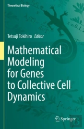 Mathematical Modeling For Genes To Collective Cell Dynamics