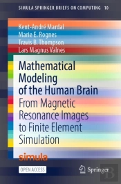 Mathematical Modeling Of The Human Brain