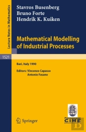 Mathematical Modelling Of Industrial Processes
