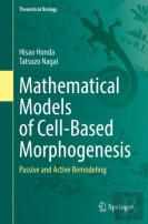 Mathematical Models Of Cell-Based Morphogenesis