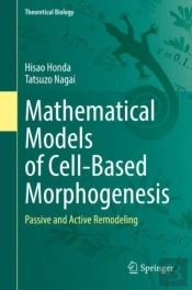 Mathematical Models Of Cell-Based Morphogenesis