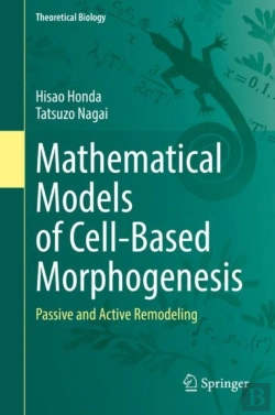 Bertrand.pt - Mathematical Models Of Cell-Based Morphogenesis