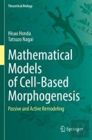 Mathematical Models Of Cell-Based Morphogenesis