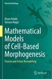 Mathematical Models Of Cell-Based Morphogenesis