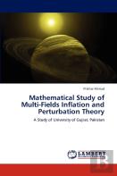 Mathematical Study Of Multi-Fields Inflation And Perturbation Theory