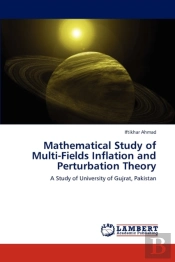 Mathematical Study Of Multi-Fields Inflation And Perturbation Theory