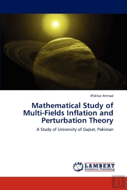 Bertrand.pt - Mathematical Study Of Multi-Fields Inflation And Perturbation Theory