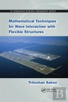 Mathematical Techniques For Wave Interaction With Flexible Structures