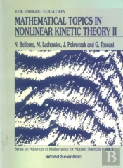 Mathematical Topics In Nonlinear Kinetic Theory Ii
