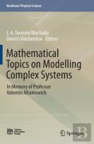 Mathematical Topics On Modelling Complex Systems