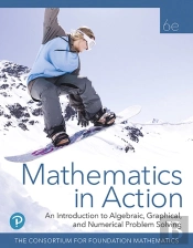 Mathematics In Action