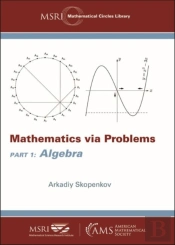 Mathematics Via Problems