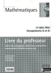 Mathématiques ; 1ère Bac Pro, Groupement A Et B ; Livre Du Professeur (Édition 2010)