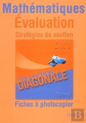 Mathematiques ; Cm1 ; Fichier D'Evaluation A Photocopier