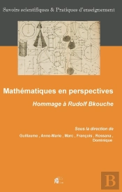 Mathématiques En Perspectives