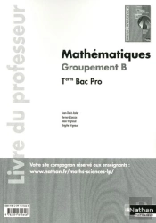 Mathematiques Terminale Bac Pro (Manuel) - Groupement B Livre Professeur 2011