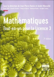 Mathématiques ; Tout-En-Un Pour La Licence 3 ; Cours Complet Avec Applications Et 300 Exercices Corrigés (3e Édition)