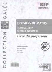 Maths Terminale Bep Indus ; Livre Du Professeur ; Edition 2002
