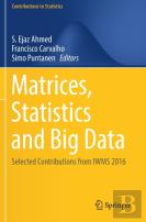 Matrices, Statistics And Big Data