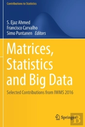 Matrices, Statistics And Big Data