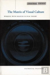 Matrix Of Visual Culture